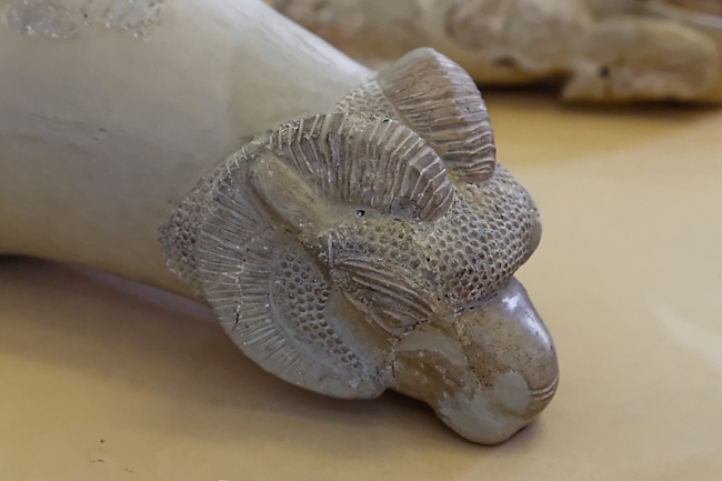 Téhéran-Musée archéologique-050